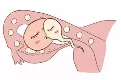 陈若晴 副院长
